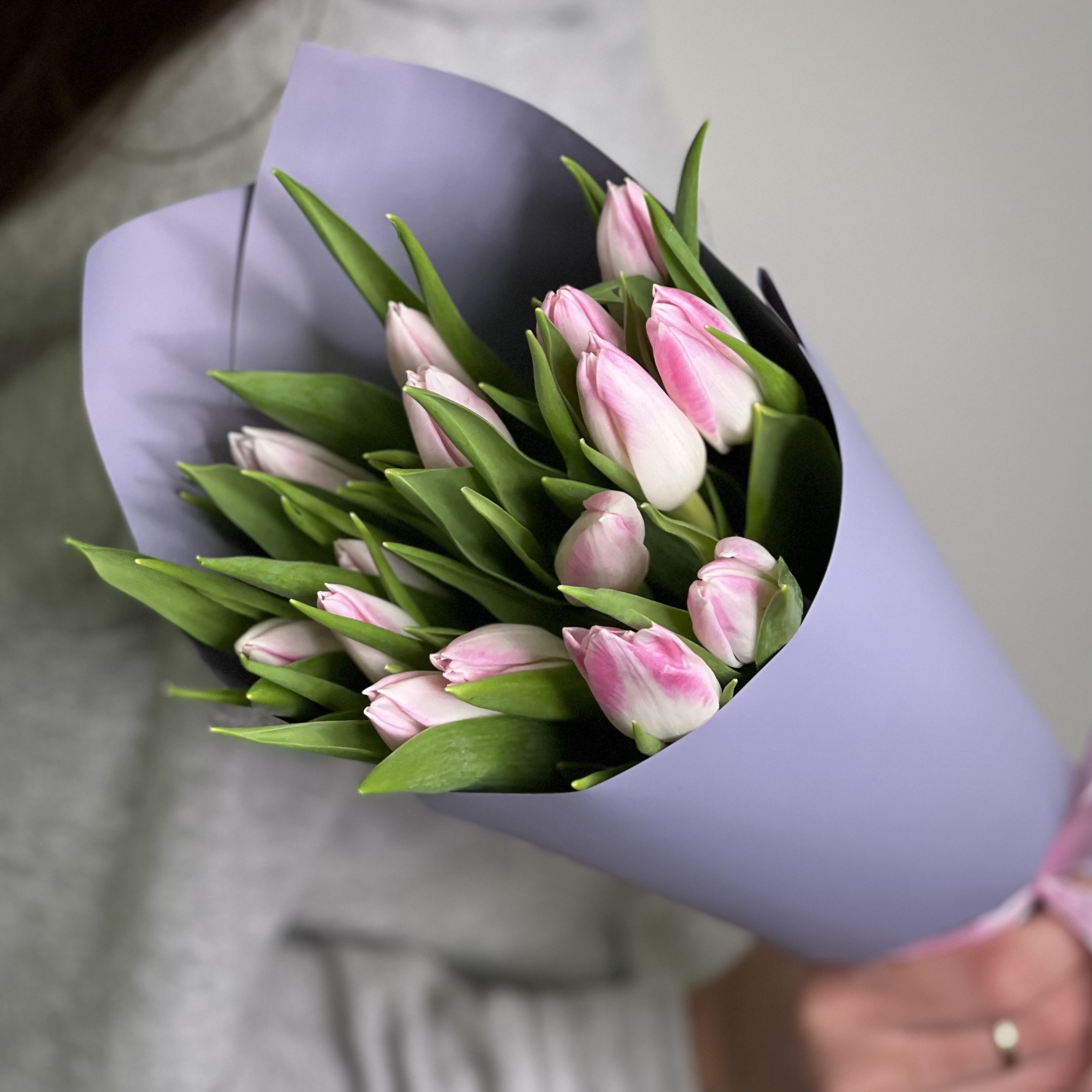 15 Розовых Тюльпанов